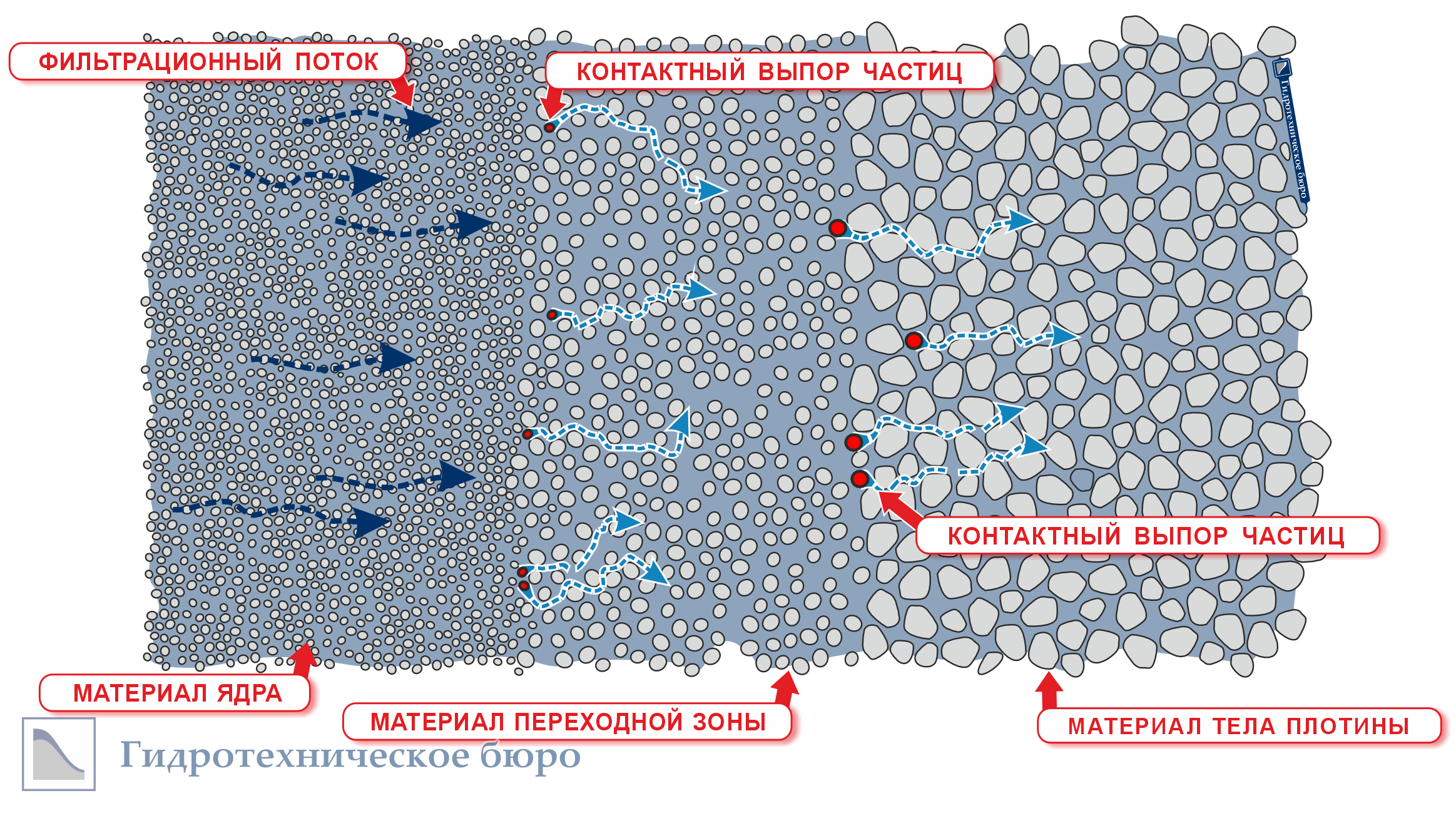 Схема образования контактного выпора в ядре и его переходной зоне